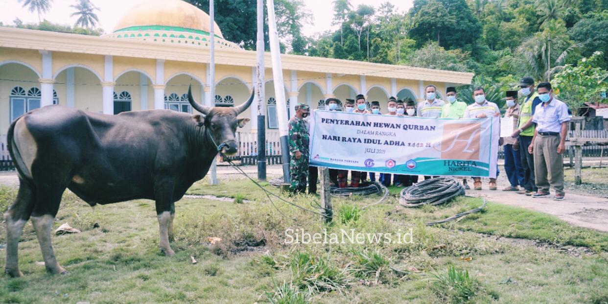 Foto Tambang Harita Grub Menyerahkan Hewan Kurban.