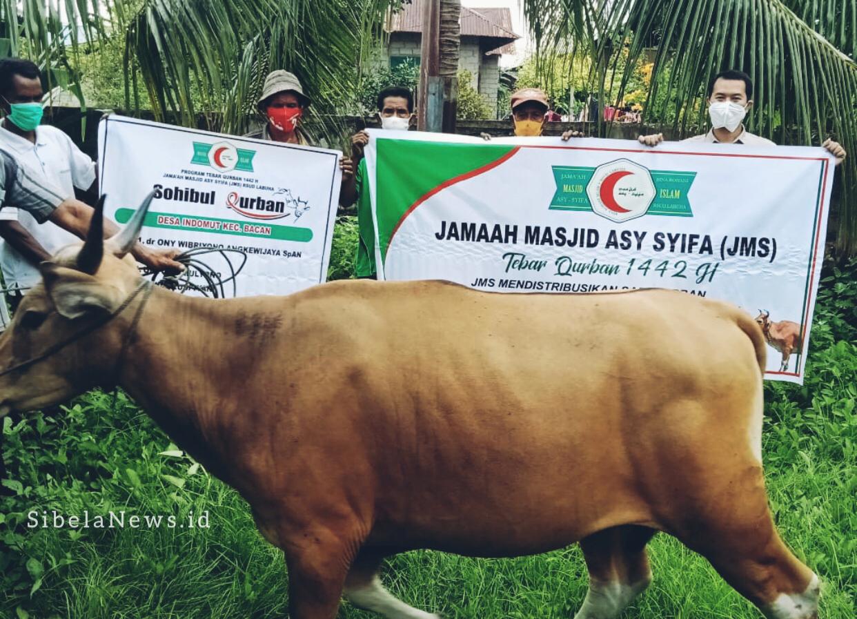 Foto Hewan Qurban Yang Di Serahkan.