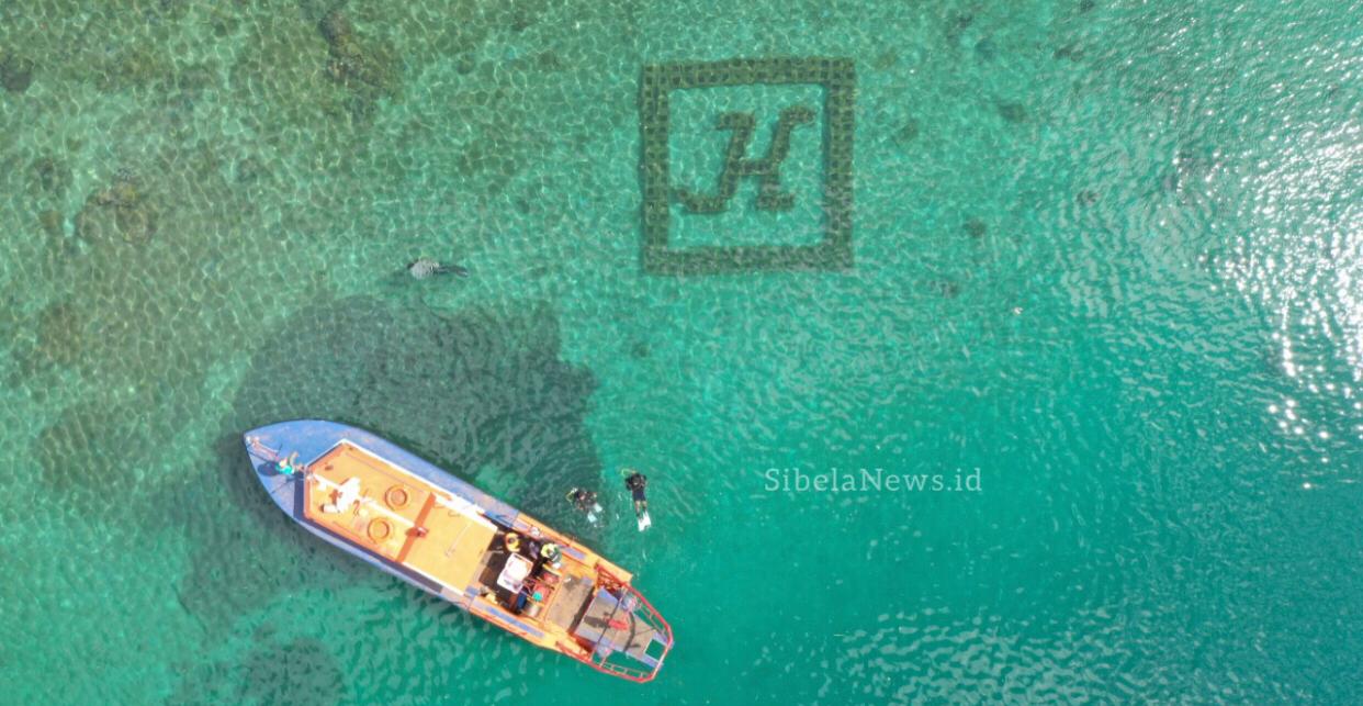 Foto HARITA Nickel Melakukan Penanaman Terumbu Karang Buatan Di Perairan Laut Bagian Barat Pulau Obi, Halmahera Selatan, Maluku Utara.