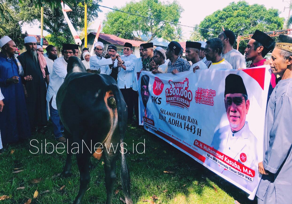Gambar : Dr. H. Muhammad Kasuba, MA sebagai ketua Bidang Pembinaan Wilayah (BPW) Indonesia Timur (Intim) DPP PKS Saat Menyerahkan Hewan Kurban kepada Panitia.