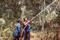 Gambar : Saat Kadis Turun Langsung Padamkan Api.