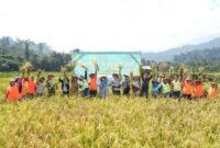 Gambar : Istimewa