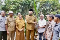 Gambar : Bupati menyerahkan bibit Kelapa.